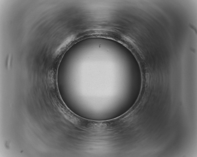 X0000102831403200808251123