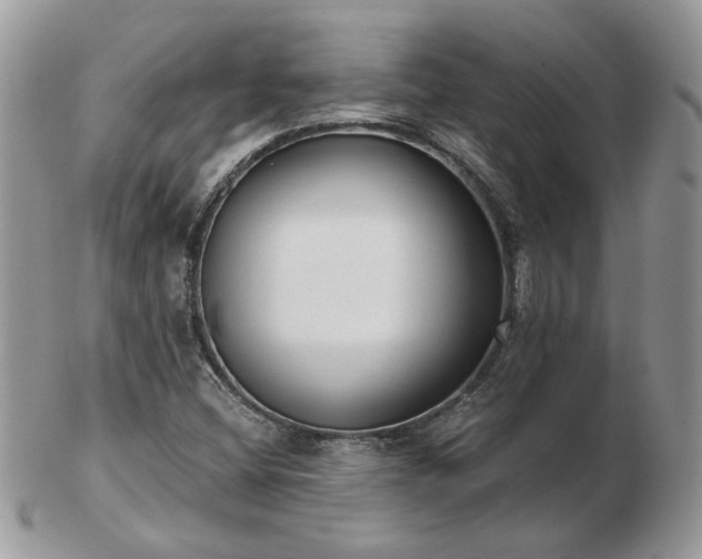 X0000102831404200808251123