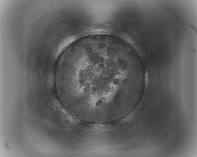 X0000102831405200808251123