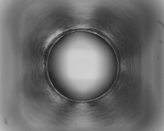 X0000102831406200808251123