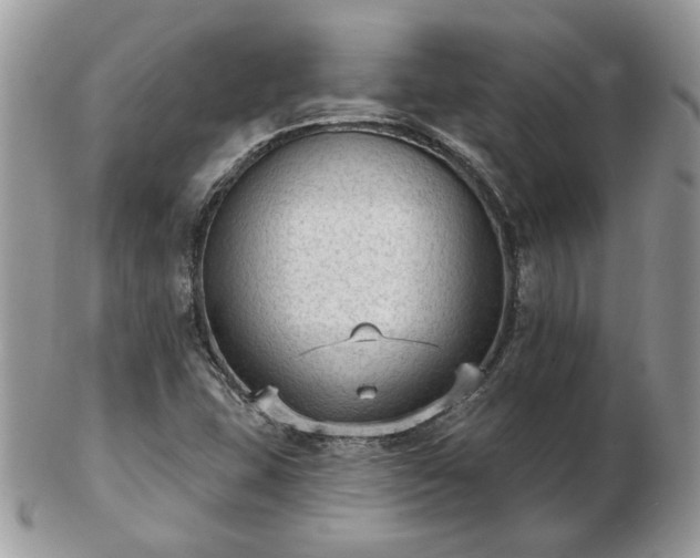 X0000102831407200808251123