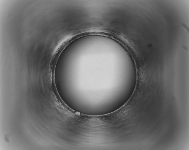 X0000102831408200808251123