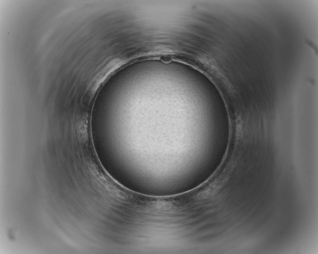 X0000102831409200808251123