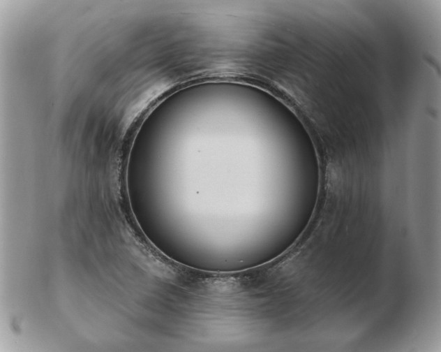 X0000102831410200808251123