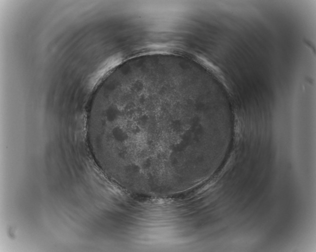 X0000102831411200808251123