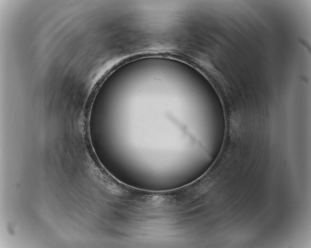 X0000102831412200808251123