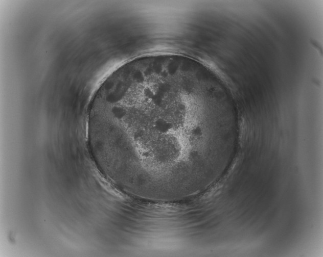 X0000102831413200808251123