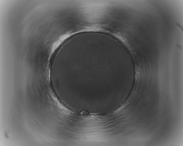 X0000102831414200808251123