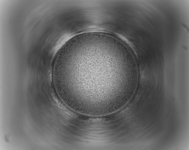 X0000102831415200808251123