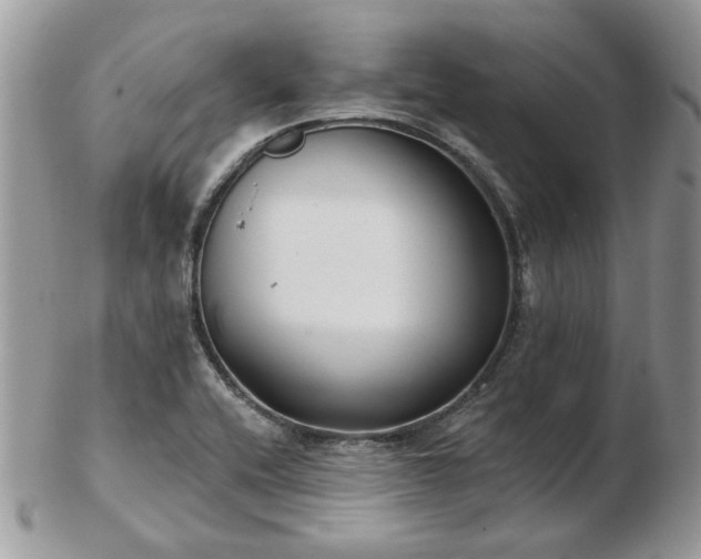 X0000102831416200808251123