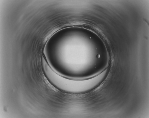 X0000102831417200808251123