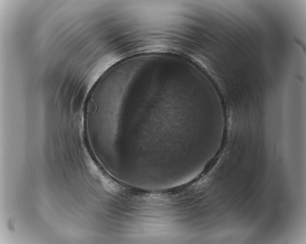 X0000102831418200808251123