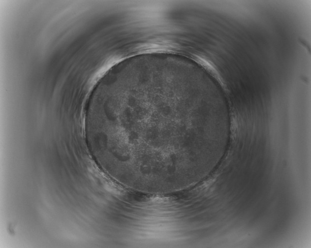 X0000102831419200808251123