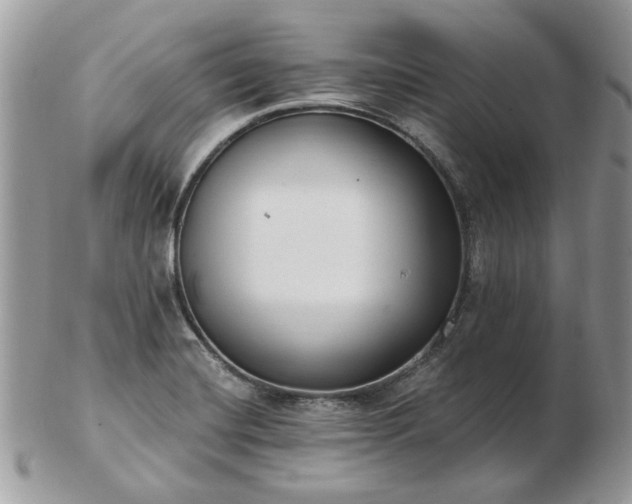 X0000102831420200808251123