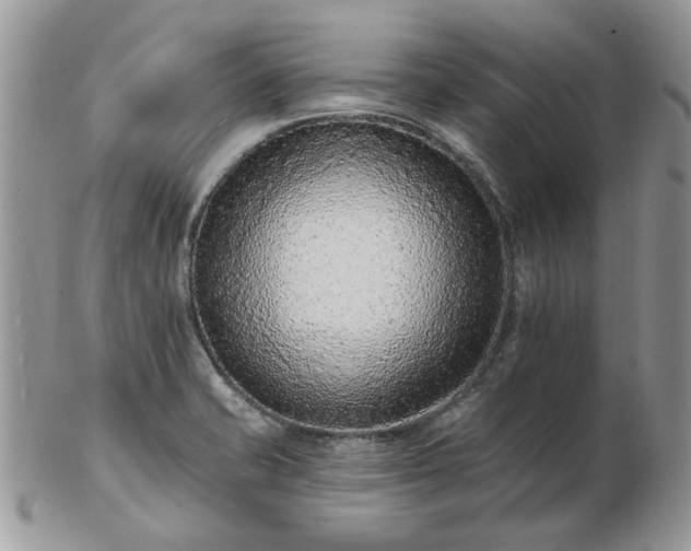 X0000102831421200808251123