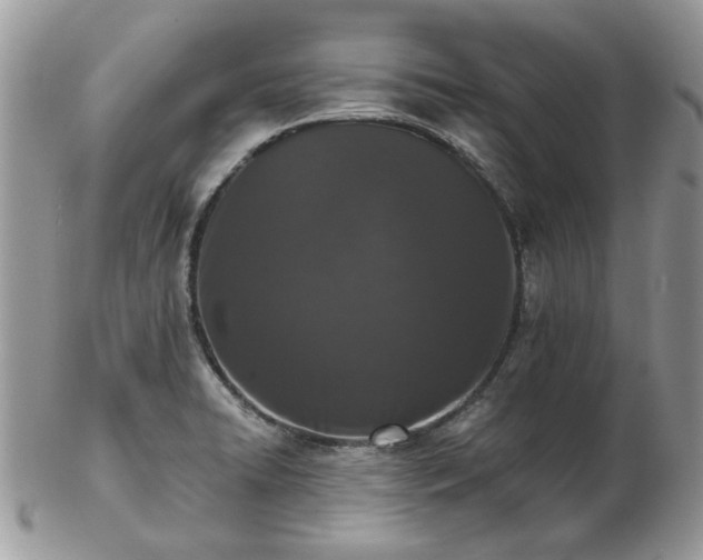 X0000102831422200808251123