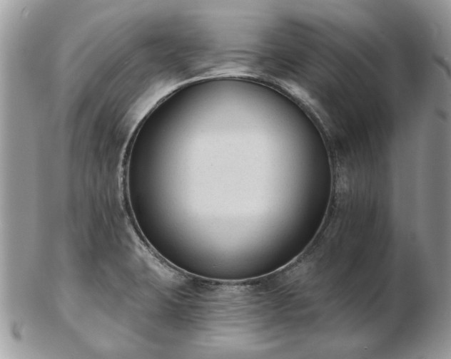 X0000102831423200808251123