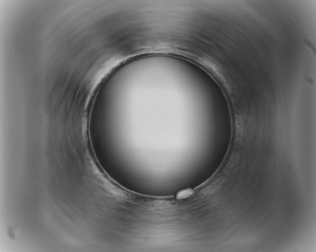 X0000102831424200808251123