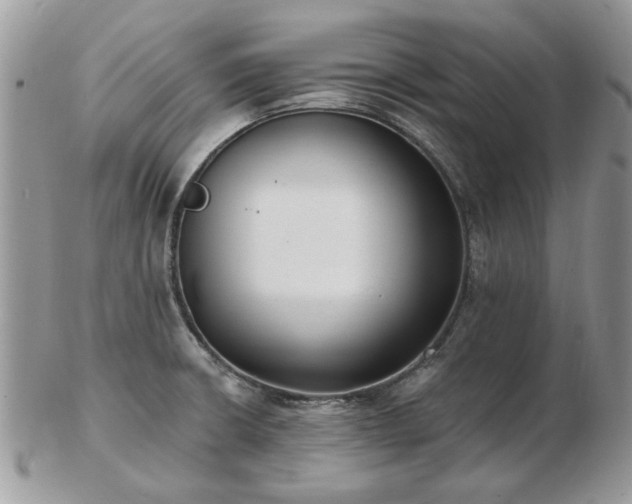 X0000102831426200808251124