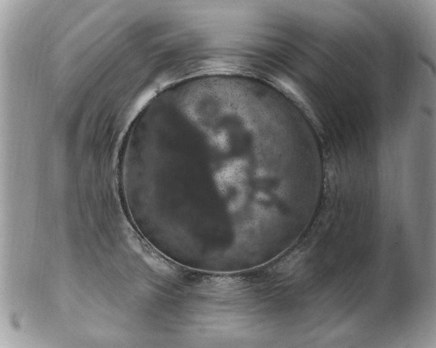 X0000102831427200808251124