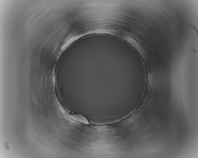 X0000102831428200808251124