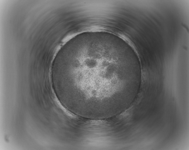 X0000102831429200808251124