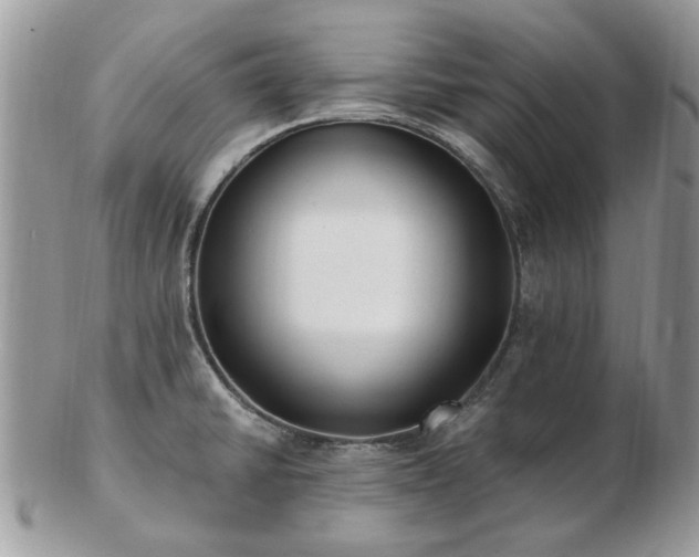 X0000102831430200808251124