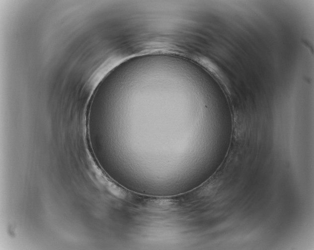 X0000102831431200808251124