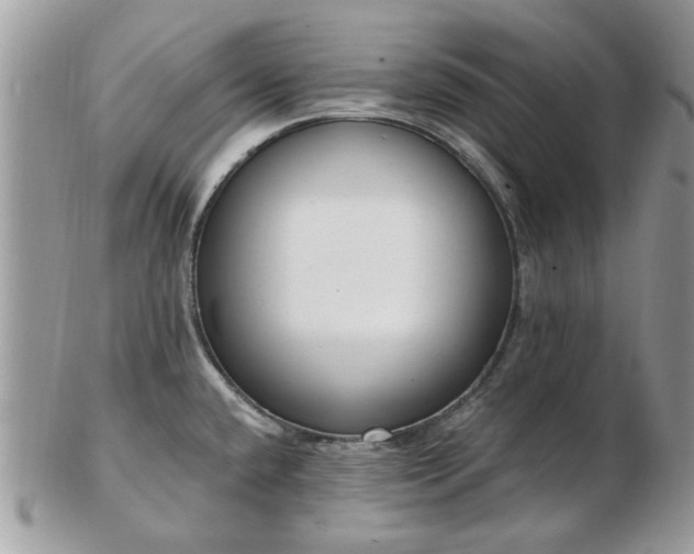 X0000102831432200808251124