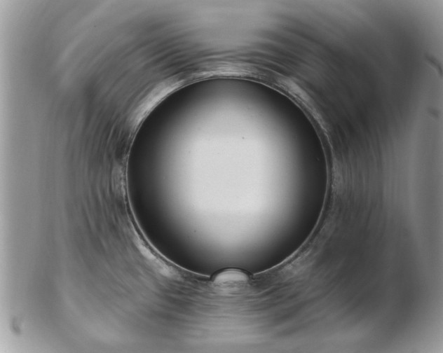 X0000102831433200808251124