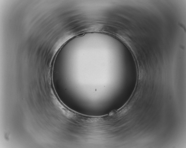 X0000102831434200808251124