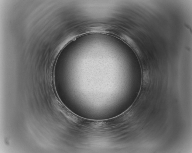 X0000102831435200808251124