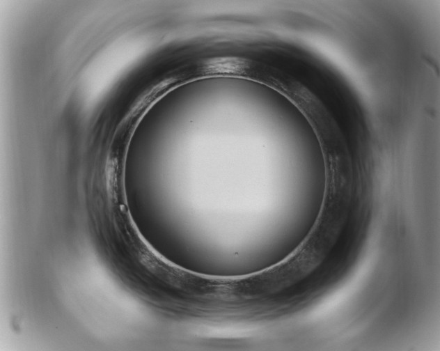 X0000102831438200808251124