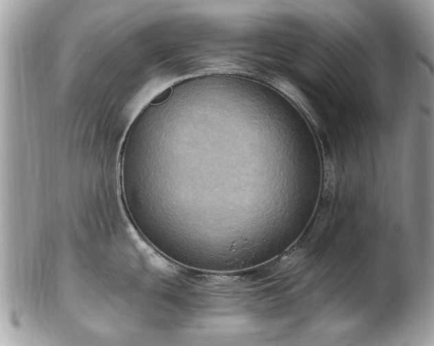 X0000102831439200808251124