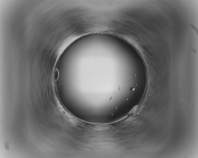 X0000102831440200808251124