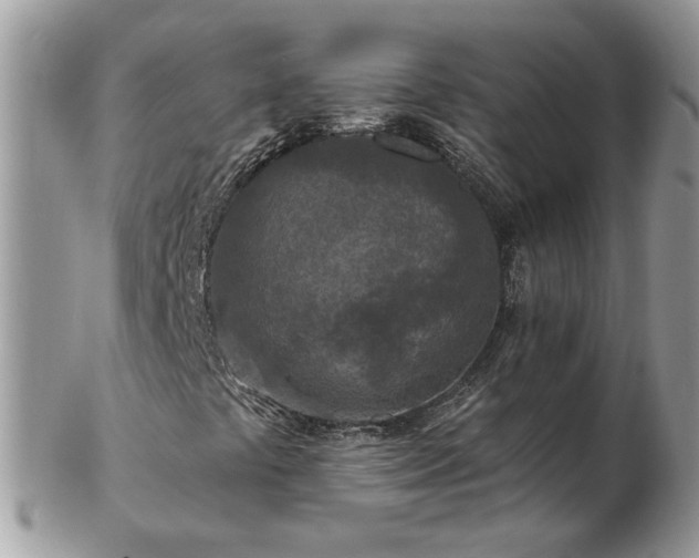 X0000102831441200808251123