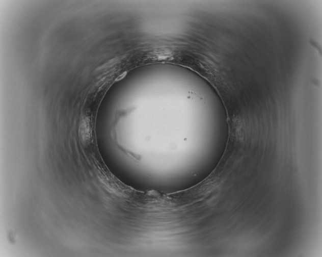 X0000102831442200808251123