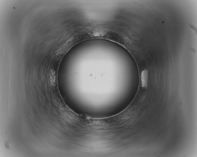 X0000102831443200808251123