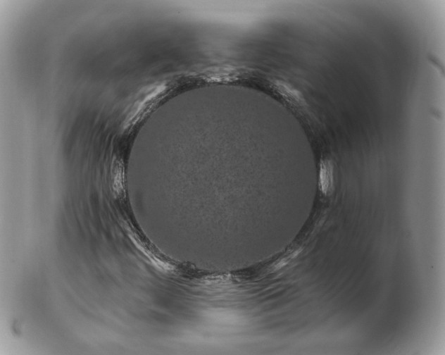 X0000102831444200808251123