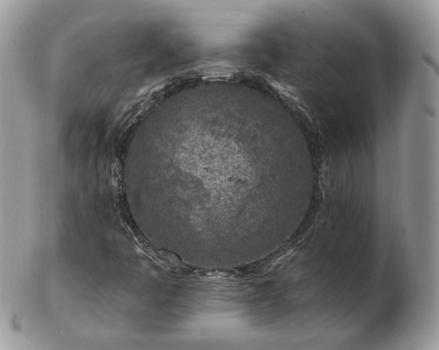 X0000102831445200808251123