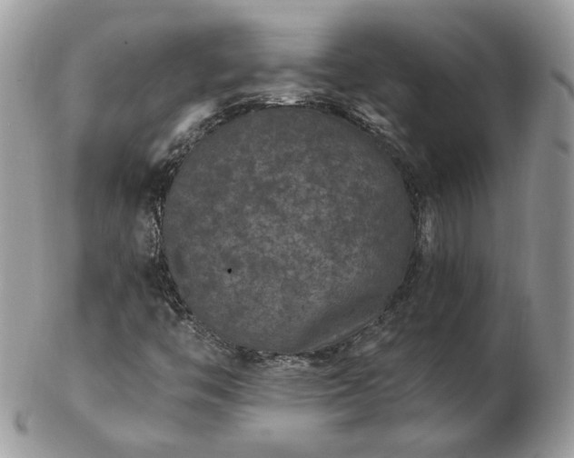 X0000102831446200808251123