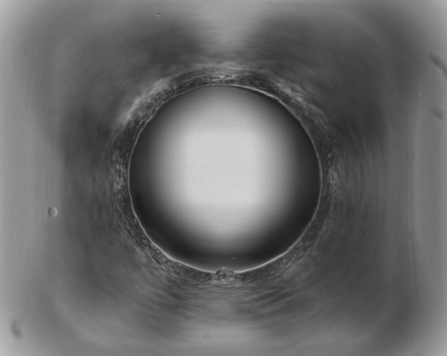 X0000102831447200808251123