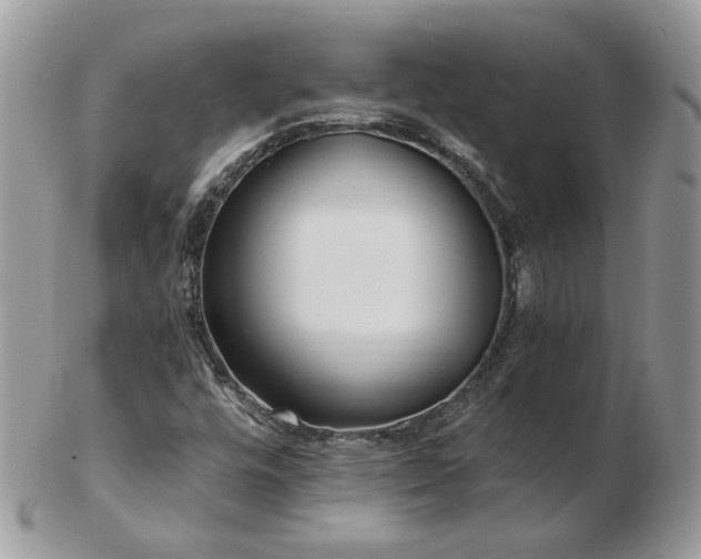 X0000102831448200808251123