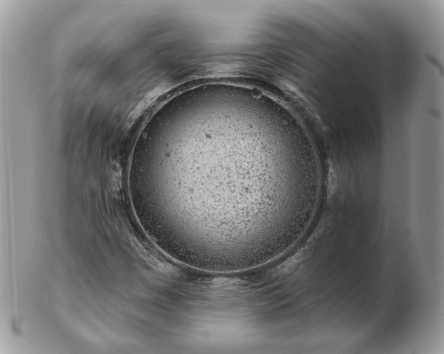 X0000102831449200808251123