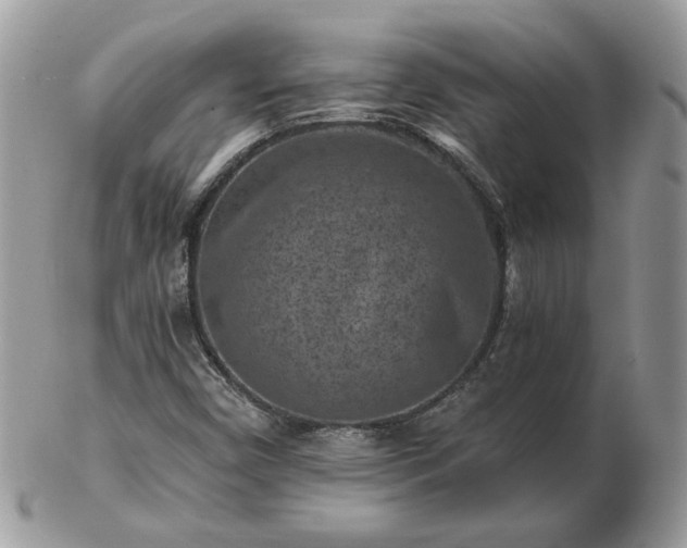 X0000102831450200808251123