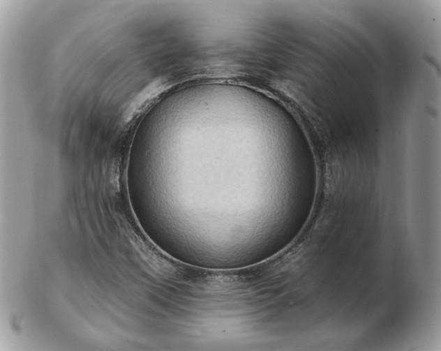 X0000102831451200808251123