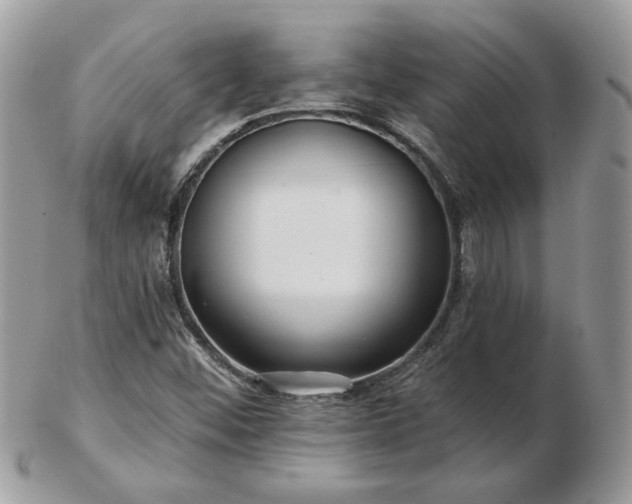 X0000102831452200808251123