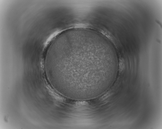 X0000102831454200808251123