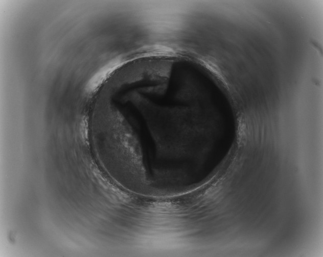 X0000102831455200808251123