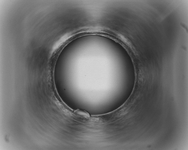 X0000102831456200808251123